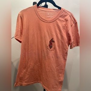 Cotopaxi t-shirt